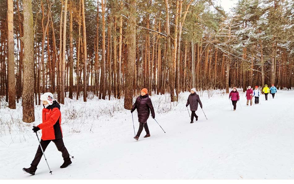 Скандинавская ходьба для пенсионеров часто проходит в лесу, что хорошо действует на здоровье
